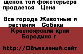 щенок той-фокстерьера продается › Цена ­ 25 000 - Все города Животные и растения » Собаки   . Красноярский край,Бородино г.